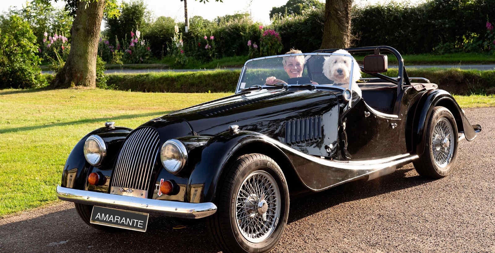 St Berdoodle Puppies