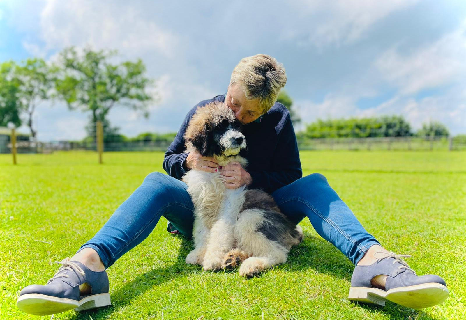 St Berdoodle / Sheepadoodle Puppies
